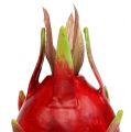 Floristik24 Fruta do dragão 15cm vermelha 1p
