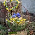 Floristik24 Cesta de arame plantador de metal decoração de primavera cesta de páscoa marrom pátina H34cm L30cm