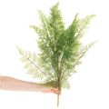 Ramo de samambaia artificial, com vários ramos, verde, 68 cm | Floristik24.pt