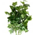 Floristik24 Ivy artificial verde 50cm Planta artificial como real!
