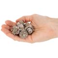 Bolotas, produto natural para decoração, pintadas de branco, 1-3cm, 300g | Floristik24.pt