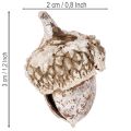 Bolotas, produto natural para decoração, pintadas de branco, 1-3cm, 300g | Floristik24.pt