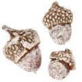 Bolotas, produto natural para decoração, pintadas de branco, 1-3cm, 300g | Floristik24.pt