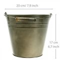 Floristik24 Pote de metal, balde para plantio, plantador Ø20cm H17cm