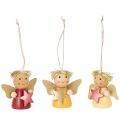 Floristik24 Pingente decorativo de anjo com estrela para pendurar, 5 cm, 9 peças