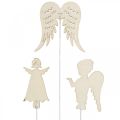 Floristik24 Anjo do plugue do advento, asas para furar, anjo de madeira, decoração de Natal, branco, glitter dourado 18pcs