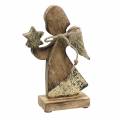 Floristik24 Anjo de madeira com estrela da natureza, madeira de manga dourada Alt.20,5cm