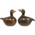 Floristik24 Deco pato figura cerâmica decoração primavera 12,5 cm marrom 2 peças