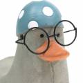 Floristik24 Pato decorativo com óculos e touca de natação cinza 10,5 cm 4 unidades