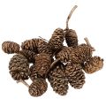Floristik24 Pinhas de amieiro, produto natural para decoração e artesanato, douradas, 3 cm, 300 g