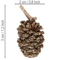 Pinhas de amieiro, produto natural para decoração e artesanato, douradas, 3 cm, 300 g | Floristik24.pt