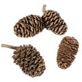 Pinhas de amieiro, produto
