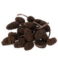 Floristik24 Pinhas de amieiro naturais, soltas, para decoração, 3cm, 300g, marrom natural.