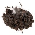 Pinhas de amieiro naturais,