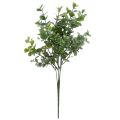 Floristik24 Decoração de eucalipto plantas artificiais ramos de eucalipto 34cm