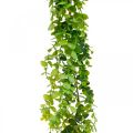 Floristik24 Guirlanda de eucalipto decoração de casamento verde artificial 122cm