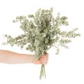 Ramo artificial de eucalipto, ramo decorativo para vasos e arranjos florais, 49 cm, conjunto com 4 peças. | Floristik24.pt
