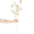 Ramo artificial de eucalipto, ramo decorativo para vaso, 100 cm | Floristik24.pt