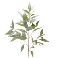 Floristik24 Ramo artificial de eucalipto, verde natural, decorativo, 100 cm