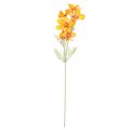 Floristik24 Cosmea Kosmee cesta de joias flor artificial laranja 75cm