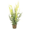 Floristik24 Samambaia artificial com torrão de raízes para decoração de casa e escritório, 57 cm