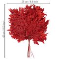 Folhas de samambaia preservadas e tingidas, samambaia verdadeira para arranjos de outono, 42 cm, 10 peças | Floristik24.pt