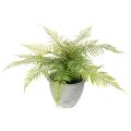 Floristik24 Samambaia artificial em vaso para sala de estar e escritório, 35 cm