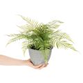 Samambaia artificial em vaso para sala de estar e escritório, 35 cm | Floristik24.pt