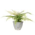 Samambaia artificial em vaso para sala de estar e escritório, 35 cm | Floristik24.pt