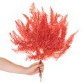 Samambaias, flores secas preservadas, decoração de outono, 60 cm, 10 peças | Floristik24.pt