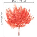 Samambaias, flores secas preservadas, decoração de outono, 60 cm, 10 peças | Floristik24.pt