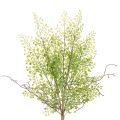 Floristik24 Ramo artificial de ruscus verde para decoração floral, 41 cm