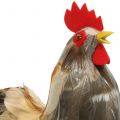 Floristik24 Decoração de Páscoa galo e galinha com penas natureza Alt.26cm conjunto de 2