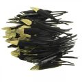 Floristik24 Penas decorativas pretas, penas reais douradas para artesanato 12-14 cm 72 unidades