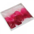 Floristik24 Borboletas de penas rosa/rosa/vermelho, borboletas deco no fio 6pcs