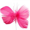 Floristik24 Borboletas de penas rosa/rosa/vermelho, borboletas deco no fio 6pcs