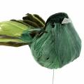 Floristik24 Pássaro de penas em fio verde 12cm 4pcs