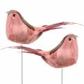 Floristik24 Pássaro de penas em fio rosa 12cm 4pcs