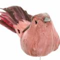 Floristik24 Pássaro de penas em fio rosa 12cm 4pcs