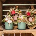 Floristik24 Fadas para pendurar, decoração de primavera, decoração de elfo, pingente de madeira rosa, turquesa, branco H10-11.5cm 9pcs