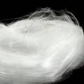Floristik24 Cabelo de fada, cabelo de anjo, branco brilhante 50g
