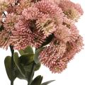 Floristik24 Stonecrop rosa sedum stonecrop flores artificiais H48cm 4pcs
