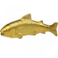 Floristik24 Peixes decorativos para colocar, escultura de peixe poliresina dourada grande L25cm
