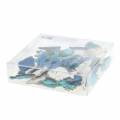 Floristik24 Espalhe madeira deco de peixe branco, azul, azul claro 4 cm 72p