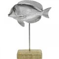 Floristik24 Peixe para colocar, decoração marítima, peixe decorativo em metal prateado, cores naturais A23cm