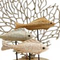 Floristik24 Decoração cardume de peixes, decoração coral, decoração peixe madeira Alt. 48,5cm
