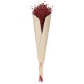 Linho Vermelho Bordeaux Seco para Decoração, Flores Secas L55cm 80g | Floristik24.pt