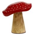 Floristik24 Mistura de cogumelo de madeira agárico mosca 9cm -10,5cm vermelho, natural 8pcs