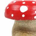 Floristik24 Cogumelos cogumelos decorativos de madeira Ø4,6–5cm H4,6–4,9cm 6pcs