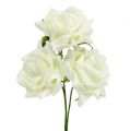 Floristik24 Rosa de espuma Ø7,5cm creme 18 peças